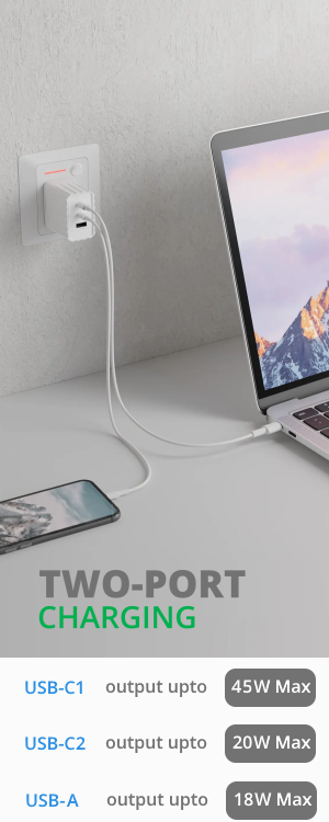 Two Port Charger